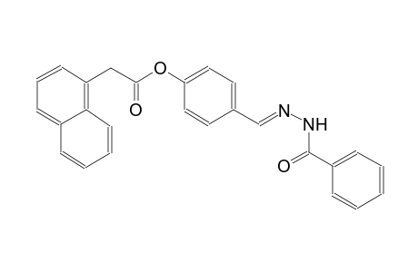 1-naphthaleneacetic acid, 4-[(E)-(2-benzoylhydrazono)methyl]phenyl ester