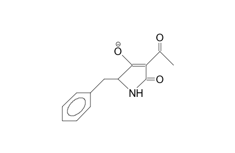(5S)-3-Acetyl-5-benzyl-2-oxo-3-pyrrolin-4-olate anion