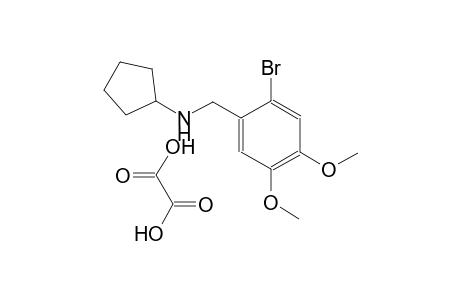 N-(2-bromo-4,5-dimethoxybenzyl)cyclopentanamine oxalate