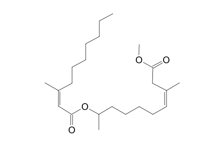 OFFICINOIC_ACID_B_METHYLESTER