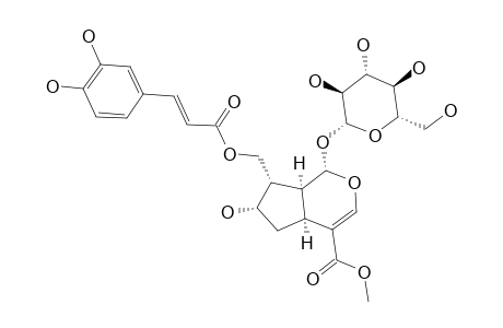 (E)-10-(3,4-DIHYDROXYCINNAMOYLOXY)-LOGANIN