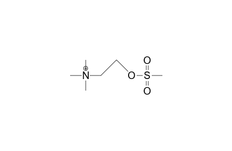 Trimethyl-methylsulfonyloxy-ammonium cation