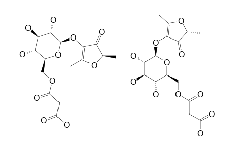 2,5-DIMETHYL-4-HYDROXY-3-[2H]-FURANONE-6'-O-MALONYL-BETA-D-GLUCOPYRANOSIDE