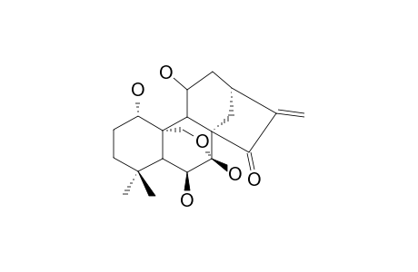 LASIODONIN;1-ALPHA,6-BETA,7-BETA,11-BETA-TETRAHYDROXY-16-EN-7,20-EPOXY-KAURAN-15-ONE