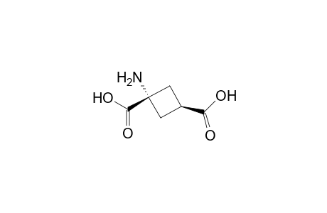 1,3-Cyclobutanedicarboxylic acid, 1-amino-, cis-, hydrate