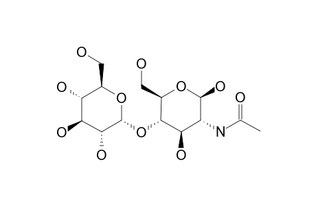 GGNAC;ALPHA-D-GLUCOPYRANOSYL-(1->4)-N-ACETYL-BETA-D-GLUCOSAMINE