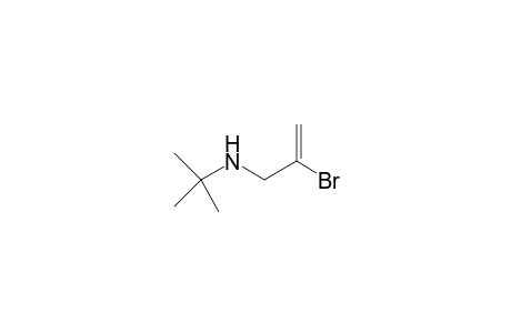 (2-Bromo-allyl)-tert-butyl-amine
