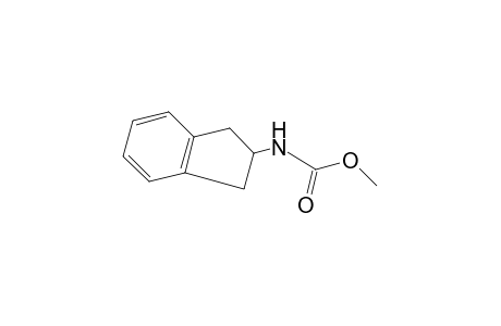 2-indancarbamic acid, methyl ester