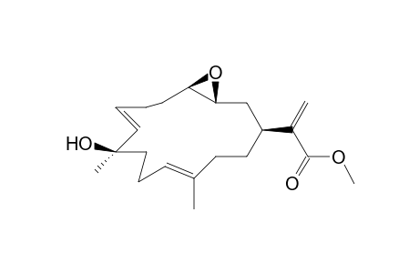 Uproeunioloic Acid - Methyl Ester