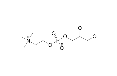 SN-GLYCERO-3-PHOSPHOCHOLINE
