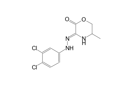 (3Z)-5-methyl-2,3-morpholinedione 3-[(3,4-dichlorophenyl)hydrazone]