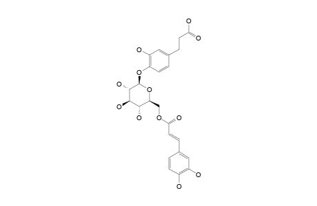 DRACUNCULIFOSIDE-C;3-[3-HYDROXY-4-[(6-O-(E)-CAFFEOYL)-BETA-D-GLUCOPYRANOSYL]]-OXY-PHENYL-PROPIONIC-ACID