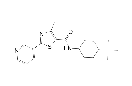 N-(4-tert-butylcyclohexyl)-4-methyl-2-(3-pyridinyl)-1,3-thiazole-5-carboxamide