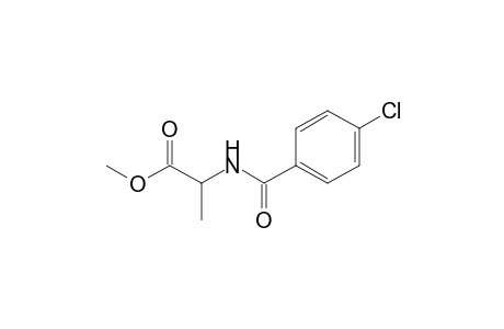 L-Alanine, N-(4-chlorobenzoyl)-, methyl ester