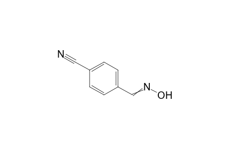 4-Cyano-benzaldoxime