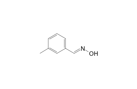 Benzaldehyde, 3-methyl-, oxime