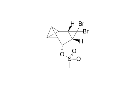 (1S,6R,7S)-8,8-dibromotetracyclo[5.1.0.0(2,4).0(3,5)]octan-6-yl methanesulfonate