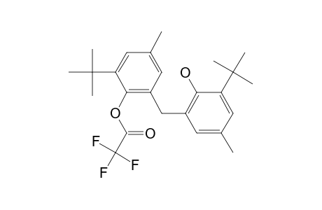 2,2'-Methylenebis(6-tert-butyl-4 methylphenol), trifluoroacetate