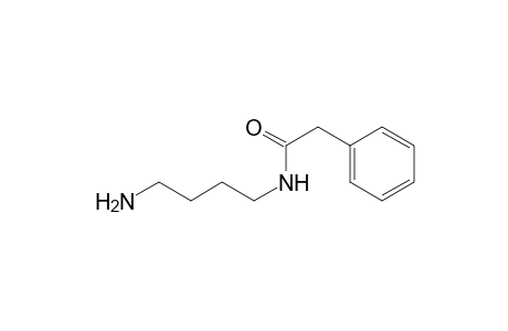N-(4-aminobutyl)-2-phenyl-acetamide