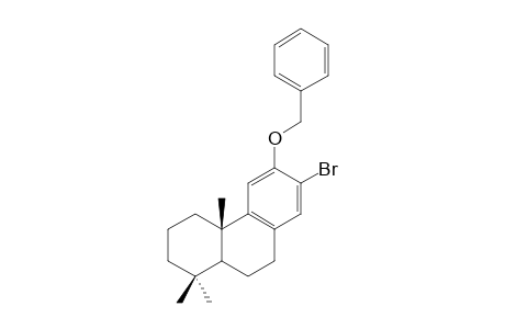 12-benzyloxy-13-bromopodocarpa-8,11,13-triene