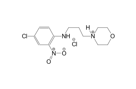 4-[3-(4-chloro-2-nitroanilino)propyl]morpholin-4-ium chloride