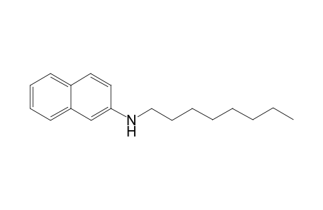 N-Octylnaphthalen-2-amine