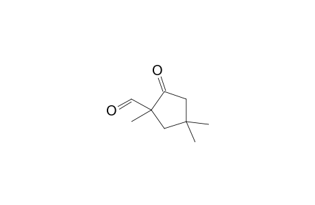 1,4,4-Trimethyl-2-oxocyclopentane-1-carbaldehyde