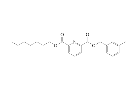 2,6-Pyridinedicarboxylic acid, 3-methylbenzyl heptyl ester