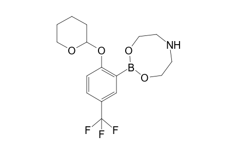 2-(1,3,6,2-Dioxazaborocan-2-yl)-4-(trifluoromethyl)phenyl tetrahydro-2H-pyran-2-yl ester