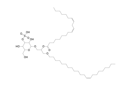 SMGDG O-22:1_19:2