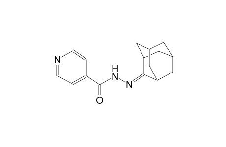 N'-tricyclo[3.3.1.1~3,7~]dec-2-ylideneisonicotinohydrazide