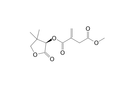 4-Methyl 1-((R)4,4-dimethyl-2-oxo-tetrahydrofuran-3-yl)-2-methylenesuccinate
