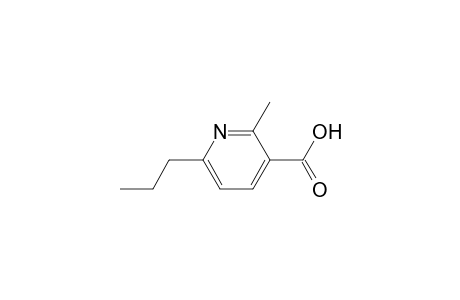 2-Methyl-6-propylpyridine-3-carboxylic acid