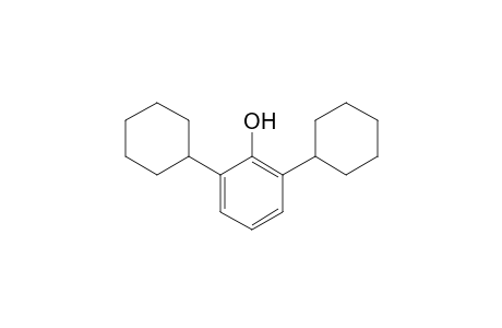 2,6-Dicyclohexylphenol