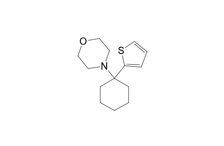 4-(1-thiophen-2-ylcyclohexyl)morpholine