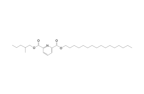 2,6-Pyridinedicarboxylic acid, hexadecyl 2-methylpentyl ester