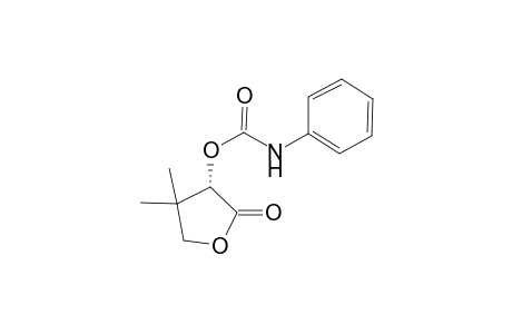 (S)-Dihydro-4,4-dimethyl-3-phenylaminocarbonyloxy-2(3H)-furanone