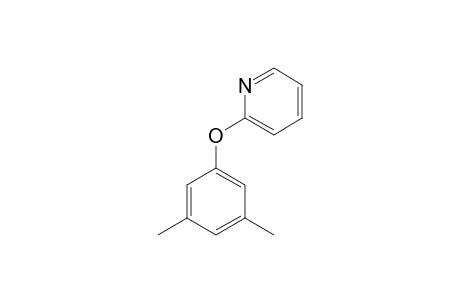 2-(3,5-DIMETHYLPHENOXY)-PYRIDINE