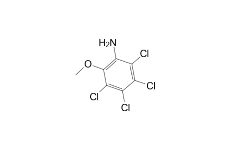 Benzenamine, 2,3,4,5-tetrachloro-6-methoxy-
