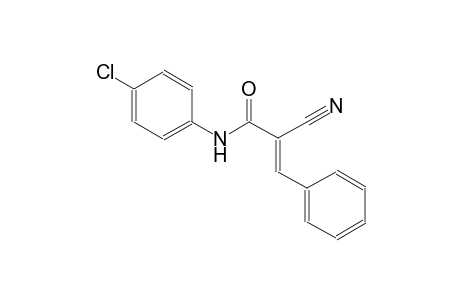 (2E)-N-(4-chlorophenyl)-2-cyano-3-phenyl-2-propenamide