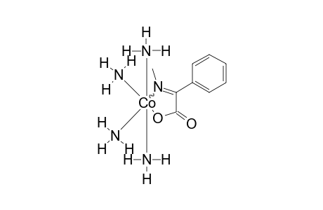 (2-METHYLIMINO-2-PHENYLETHANOATO)-TETRAAMINECOBALT(III)