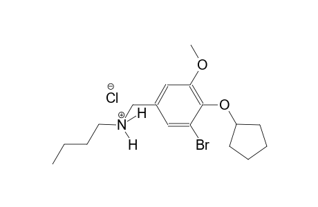 N-[3-bromo-4-(cyclopentyloxy)-5-methoxybenzyl]-1-butanaminium chloride