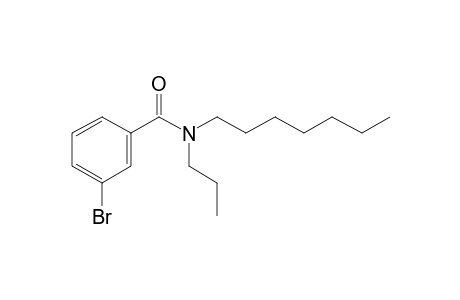 Benzamide, 3-bromo-N-propyl-N-heptyl-