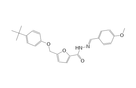 5-[(4-tert-butylphenoxy)methyl]-N'-[(E)-(4-methoxyphenyl)methylidene]-2-furohydrazide