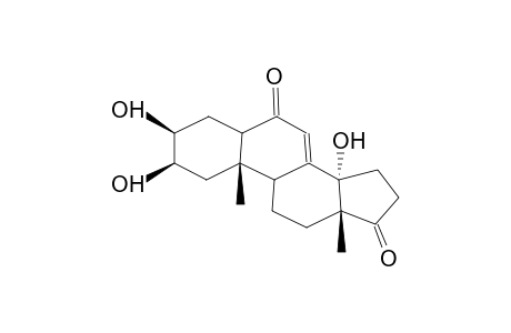 RUBROSTERONE