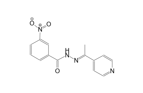 3-nitro-N'-[(E)-1-(4-pyridinyl)ethylidene]benzohydrazide