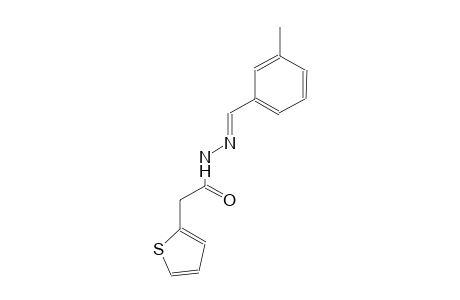 N'-[(E)-(3-methylphenyl)methylidene]-2-(2-thienyl)acetohydrazide