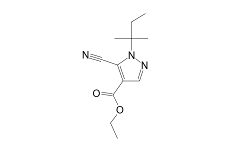 1-tert-amyl-5-cyano-pyrazole-4-carboxylic acid ethyl ester