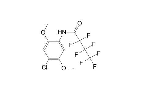 N-(4-chloro-2,5-dimethoxyphenyl)-2,2,3,3,4,4,4-heptafluorobutanamide