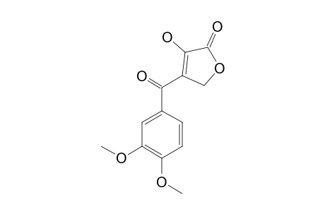 4-(3,4-DIMETHOXYBENZOYL)-3-HYDROXY-2(5H)-FURANONE